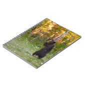 Bärenbär (Ursus arctos) Notizblock (Linke Seite)