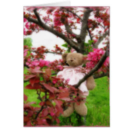 Bärenblüten
