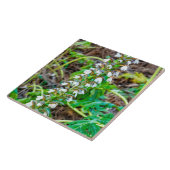 Bärenbrauen Fliese (Seite)