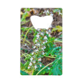 Bärenbrauen Geldbeutel Flaschenöffner (Rückseite)