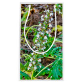 Bärenbrauen Kleine Geschenktüte (Vorderseite)