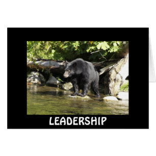 Bärendesign für Tierschützer und Wildtiere