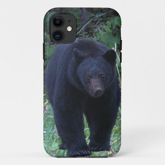 Bärendesign für Tierschützer und Wildtiere Case-Mate iPhone Hülle (Rückseite)