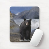 Bärendesign für Tierschützer und Wildtiere Mousepad (Mit Mouse)