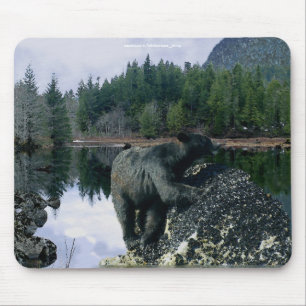 Bärendesign für Tierschützer und Wildtiere Mousepad