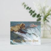 Bärenfänger, Katmai National Park, AK Postkarte (Stehend Vorderseite)