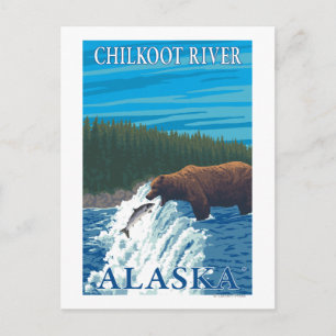 Bärenfischerei im Fluss Chilkoot, Alaska Postkarte