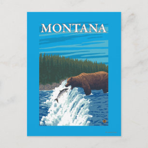 Bärenfischerei im Fluss - Montana Postkarte