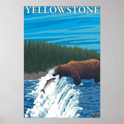 Bärenfischerei im Fluss - Yellowstone National Poster (Vorne)