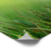 Bärenfresser Bird Poster (Ecke)