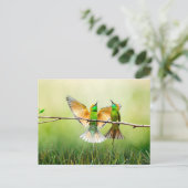 Bärenfresser Bird Postkarte (Stehend Vorderseite)