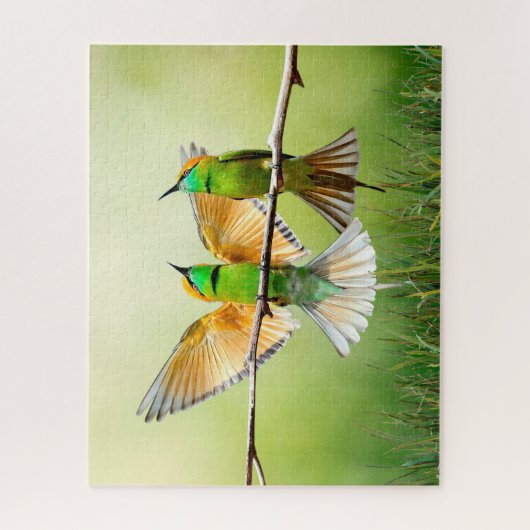 Bärenfresser Bird Puzzle (Vertikal)