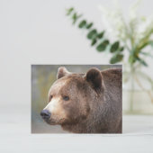 Bärenfront Postkarte (Stehend Vorderseite)
