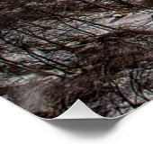 Bärengebirgsbrücke Poster (Ecke)