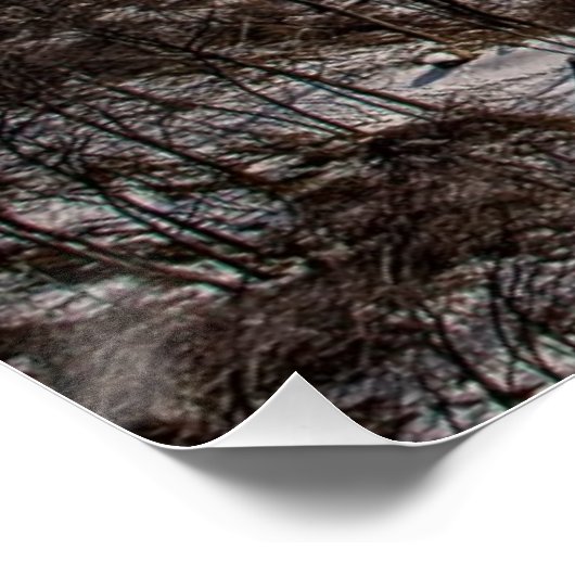 Bärengebirgsbrücke Poster (Ecke)