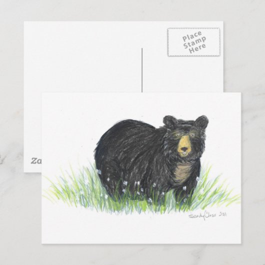 Bärengeschenke Postkarte (Vorne/Hinten)
