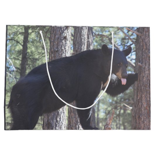 Bärengeschenktasche Große Geschenktüte (Rückseite)