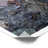 Bärengesicht im Baum Poster (Ecke)