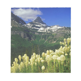 Bärengras am Logan Pass im Glacier-Nationalpark Notizblock