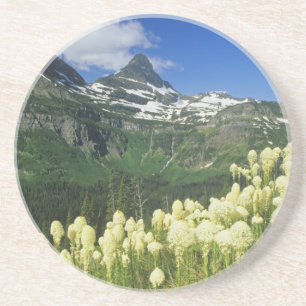 Bärengras nahe Logan Pass in Gacier National Sandstein Untersetzer