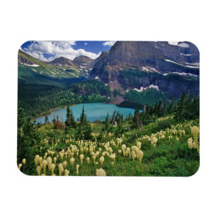 Bärengras oberhalb des Grinnell Lake im Many Magnet