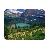 Bärengras über dem Grinnellsee Magnet (Horizontal)