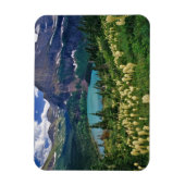 Bärengras über dem Grinnellsee Magnet (Vertikal)