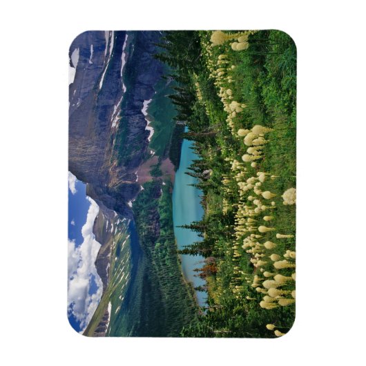 Bärengras über dem Grinnellsee Magnet (Vertikal)