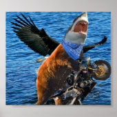 Bärenhai Poster (Vorne)