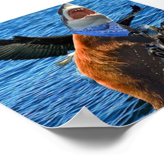 Bärenhai Poster (Ecke)