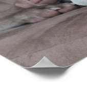 Bärenhund-Foto-Poster Poster (Ecke)