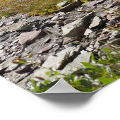 Bärenhutberg und Gletscherbach Poster (Ecke)