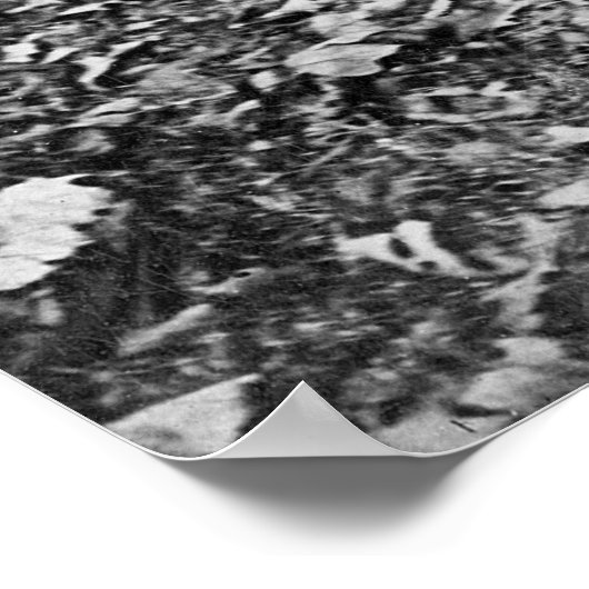 Bärenjäger, 1909 poster (Ecke)