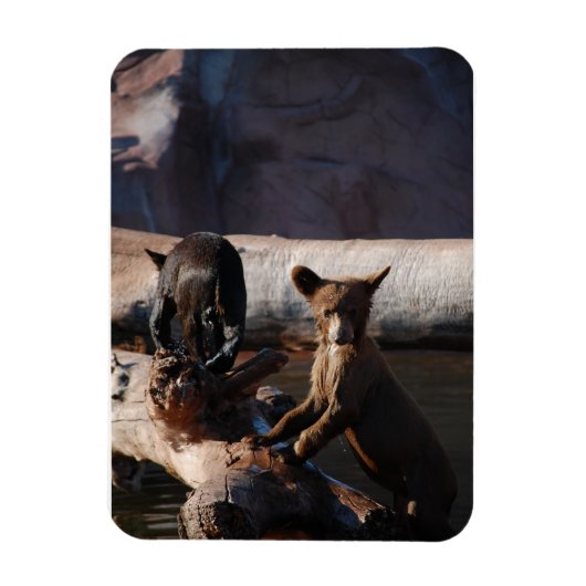 Bärenjungen im Water Magnet (Vertikal)