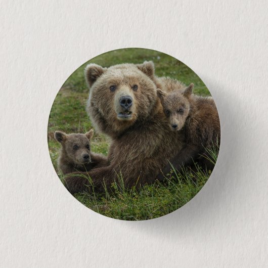Bärenjungen mit ihrer Mutter Button (Vorderseite)