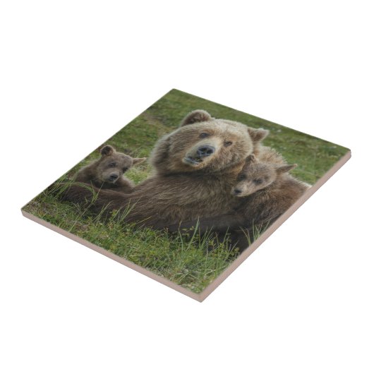 Bärenjungen mit ihrer Mutter Fliese (Seite)