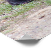 Bärenjungen Poster (Ecke)