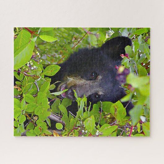 Bärenjungen. Puzzle (Horizontal)