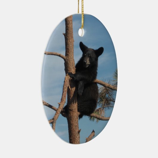 Bärenjunges in einem Baum Keramikornament (Rechts)