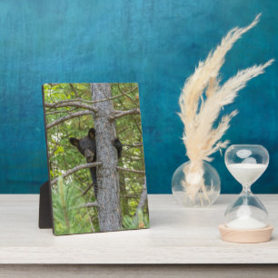 Bärenjunges klettert auf einen Baum Fotoplatte