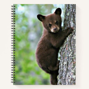 Bärenjunges klettert auf einen Baum, Notizblock