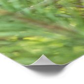 Bärenjunges klettert auf einen Baum Poster (Ecke)