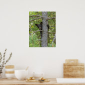 Bärenjunges klettert auf einen Baum Poster (Küche)