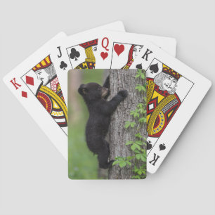 Bärenjunges klettert auf einen Baum Spielkarten