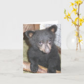 Bärenjungs-Anmerkungs-Karte Karte (Gelbe Blume)