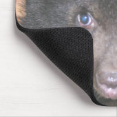 Bärenjungs-Nahaufnahme-Gesicht Mousepad (Ecke)