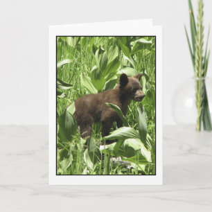 Bärenkarte als Bären gelassen Karte