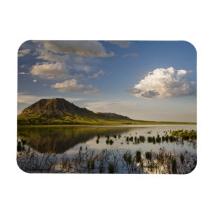 Bärenknöpfe spiegeln sich in den Bären-Butte-Se Magnet