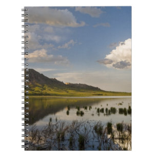 Bärenknöpfe spiegeln sich in den Bären-Butte-See i Notizblock