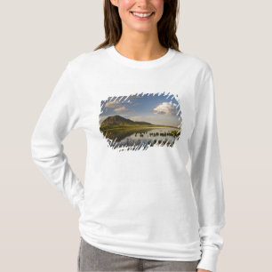 Bärenknöpfe spiegeln sich in den Bären-Butte-See i T-Shirt